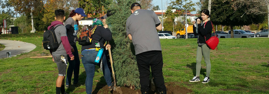 2019 MLK Tree Planting
