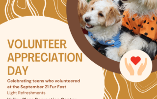 Volunteer appreciation day