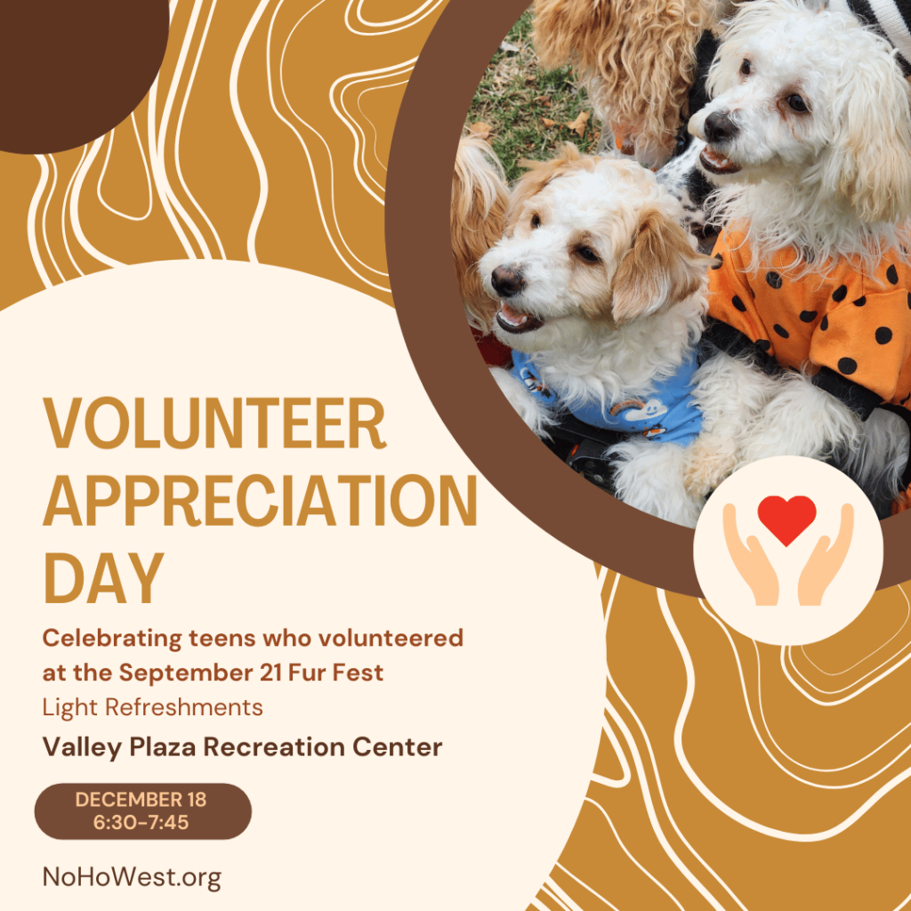 Volunteer appreciation day