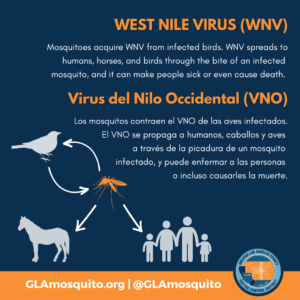 about west nile virus