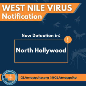 west nile virus found in north hollywood